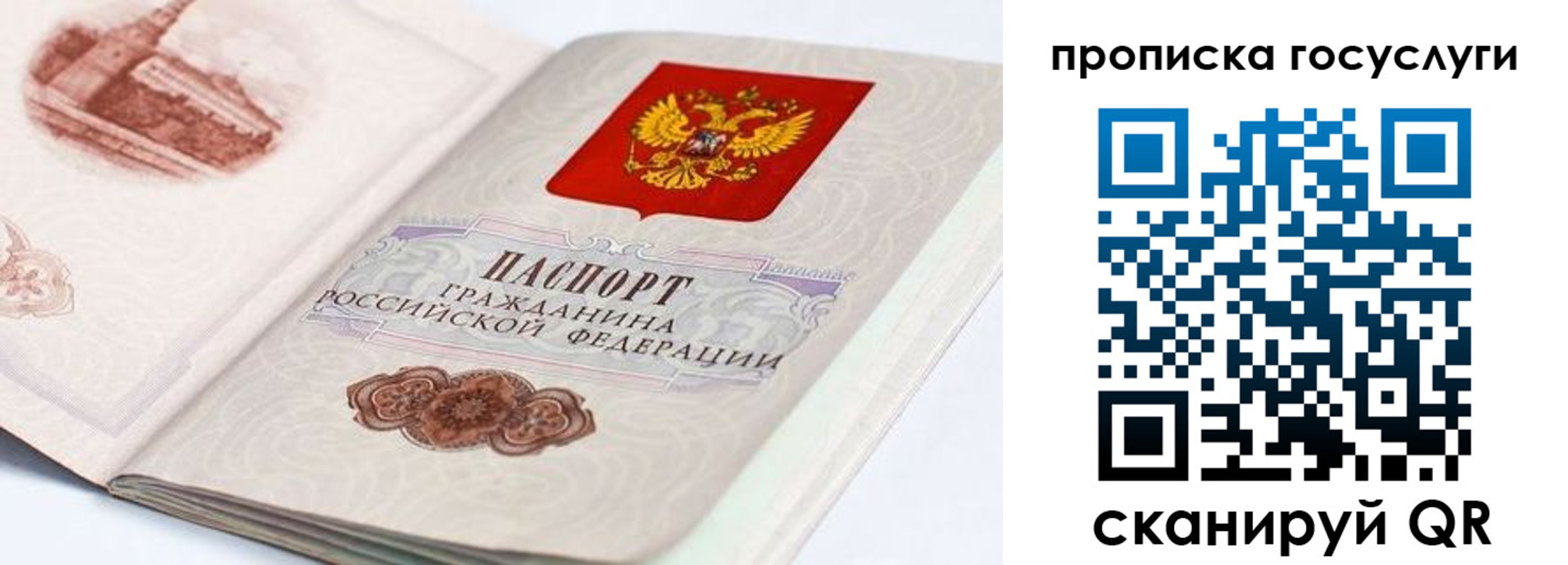 прописка гарантия в Рудне